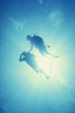 scubadivers scubadivers Hawaii Travel