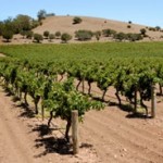 Stay at The Kirche – Unusual Church Accommodation at Barossa Valley Winery Stay at The Kirche – Unusual Church Accommodation at Barossa Valley Winery