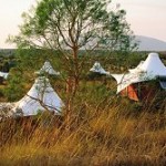 tents longitude 131 150x150 Glamping in Australia   Luxury Alternative to Camping
