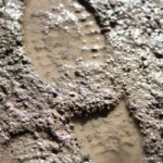 muddy footprint 150x150 Hiking Safety Tips   Advice for Hitting the Trails 