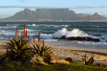 tablemountain1.jpg